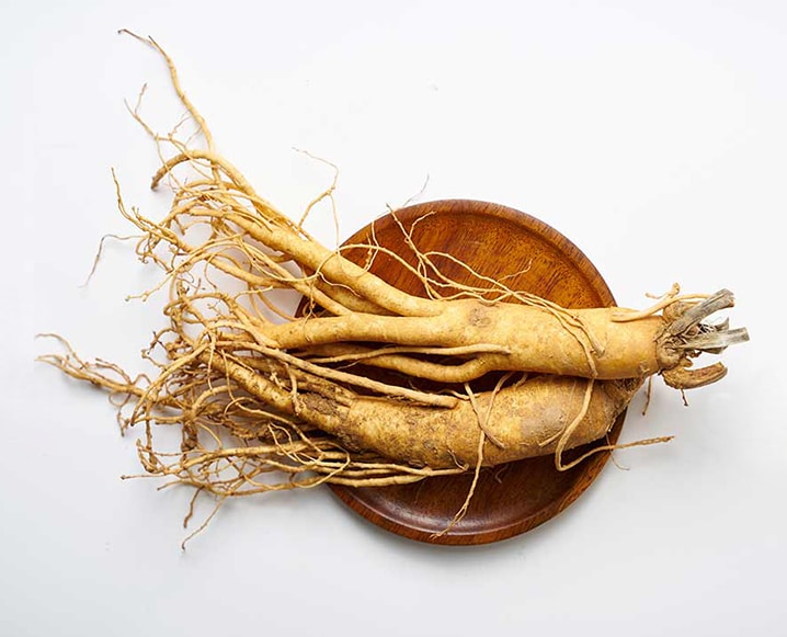 American Ginseng